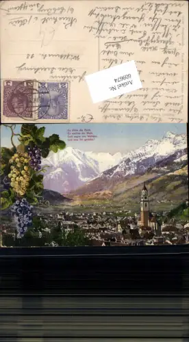 609674,Trentino Meran Merano gegen Zielspitze Weintrauben Trauben pub Fränzl 510-98