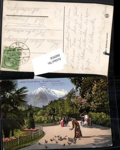 660956,Trentino Meran Merano Gisela Promenade Tauben