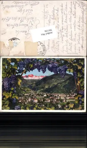 701156 Trentino Bolzano Bozen Gries Weintrauben Trauben