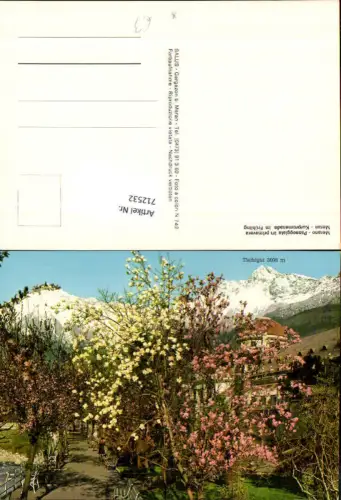 712532 Merano Passeggiata in primavera Meran Kurpromenade im Frühling Südtirol