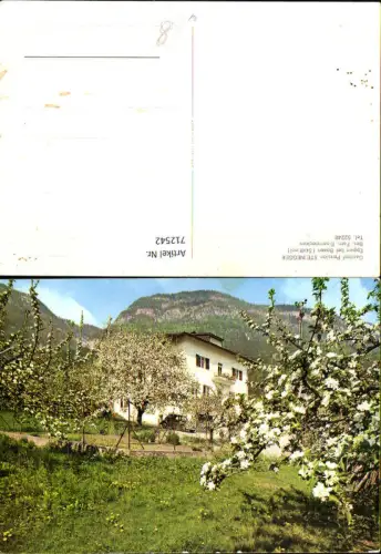 712542 Gasthof Pension Steinegger Eppan b. Bozen Südtirol