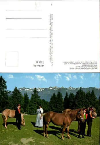 712547 Hafling Falzeben b. Meran Haflingerpferde Pferde Avelengo-Falzeben pr. Merano Cavalli Avelenghesi Südtirol