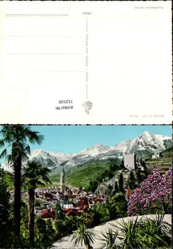 712550 Merano Meran Palmen Baumblüte Südtirol