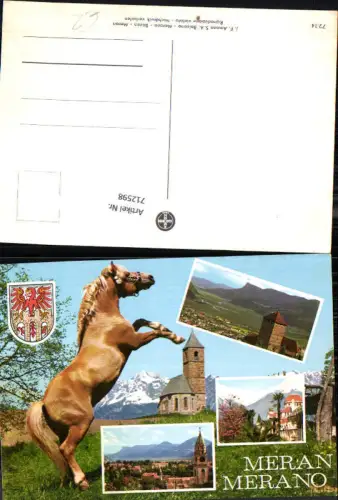712598 Mehrbild AK Meran Merano Pferd Reiten Südtirol