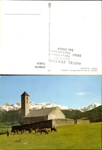712616 Tartsch St Veit am Bichl Vinschgau Tarces Val Venosta Rinder Kühe Kirche Südtirol