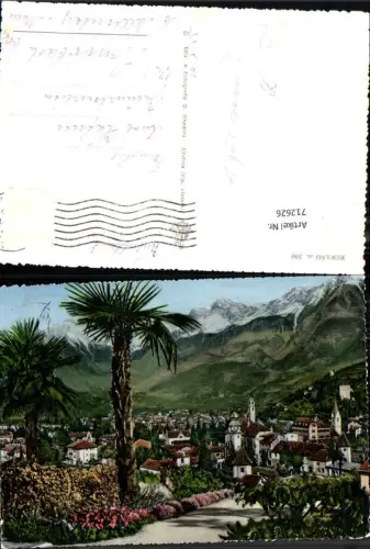 712626 Foto AK Merano Meran Palme Südtirol