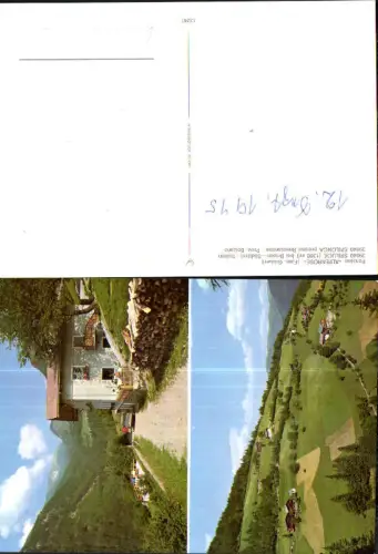 716905 Trentino Spiluck b. Brixen Spilonca Bressanone Pension Alpenrose