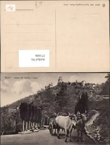 371606,Umbria Perugia Assisi Veduta del Castello a Nord Burg Festung Rindergespann