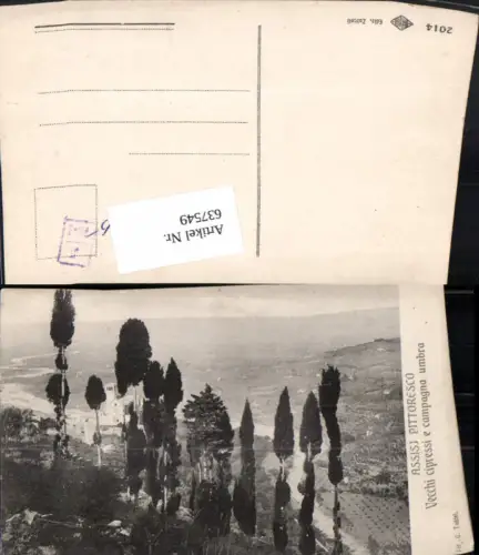 637549,Assisi Vecchi cipressi e campagna umbra Umbria Italy