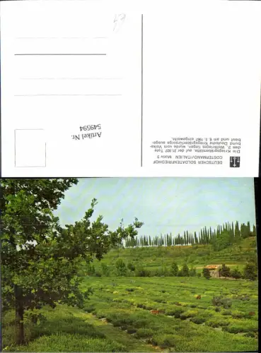 549594,Italy Costermano Soldatenfriedhof