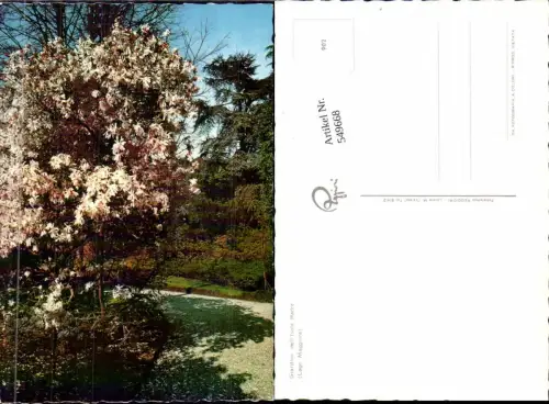 549668,Italy Lago Maggiore Isla Madre