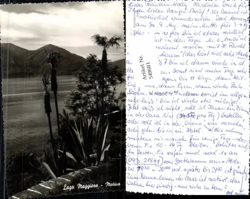 549681,Italy Lago Maggiore Motivo