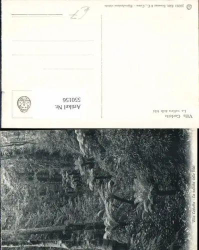 550156,Italy Tremezzo Comersee Villa Carlotta Wald Lago di Como