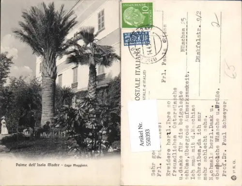 550393,Lago Maggiore Palme dell Isola Madre Palmen