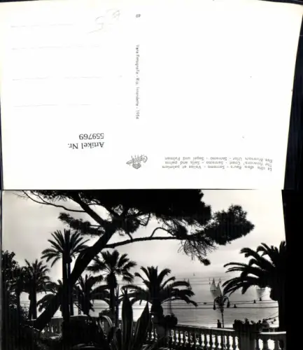 559769,Italy Riviera di Fiori Sanremo Vele e Palme Blumen Ufer Segelboot Palmen