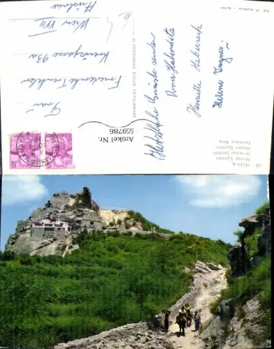 559786,Italy Ischia Monte Epomeo Berg Esel Reiten