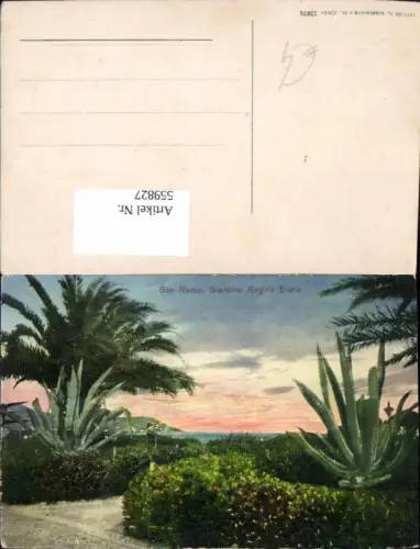 559827,Italy San Remo Sanremo Giardino Regina Elena Park Garten Kakteen Palme