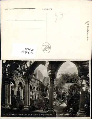 559829,Italy Palermo Chiostro e Chiesa di S. Giovanni degli eremiti Dettaglio Hof Garten