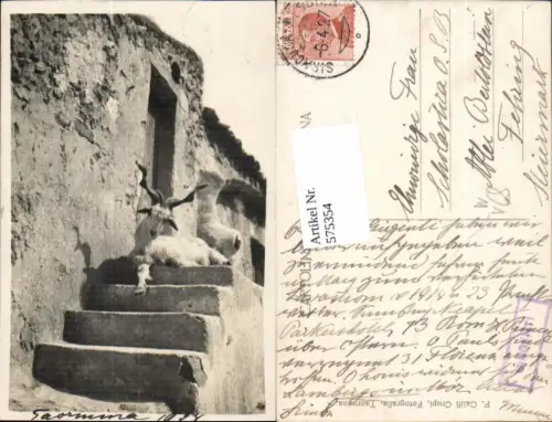 575354,Foto-AK Taormina Steinbock