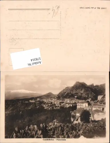578314,Taormina Kaktus Kakteen