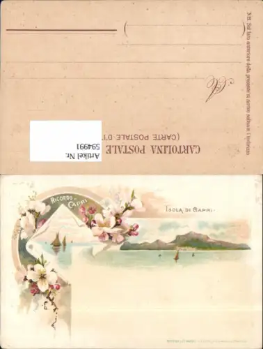 594991,Lithographie Isola di Capri 1900 pub Richter e Co.