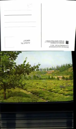 608507,Italy Costermano Deutscher Soldatenfriedhof Friedhof