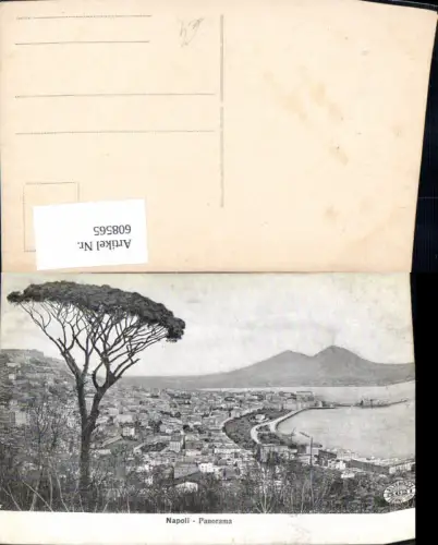 608565,Italy Napoli Neapel Panorama Vulkan