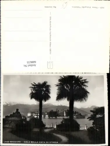 608633,Foto Ak Lago Maggiore Isola Bella vista da Stresa Palmen Italy