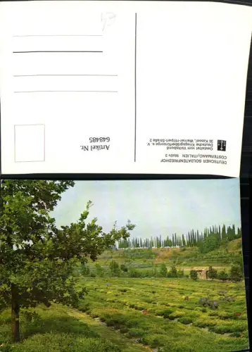 648485,Costermano Deutscher Soldatenfriedhof Friedhof Italy