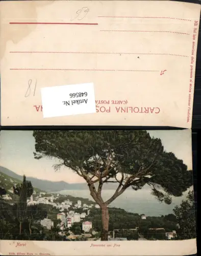 648566,Nervi Panorama con Pino Baum Pinie Italy