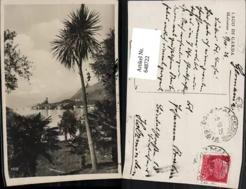 648722,Foto Ak Lago di Garda Malcesine Palme Italy