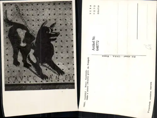 648772,Foto Ak Napoli Neapel Museo Nazionale Cane a catena Mosaico Mosaik Italy