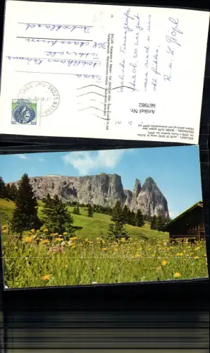 667082,Seiser Alm Alpe du Siusi Seis am Schlern Castelrotto Italy