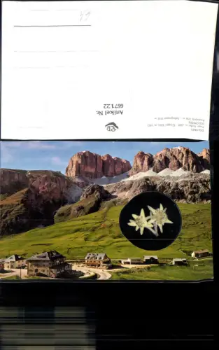 667122,Material Ak Echtes Edelweiß Dolomiti Canazei Passo Pordoi Pordoijoch Italy