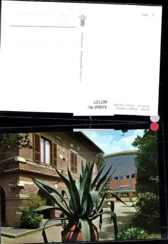 667157,Roma Rome Rom Domus Pacis Kakteen Kaktus Italy