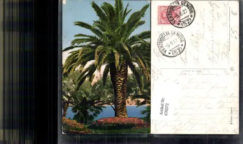 670372,Riviera Ligure Palme Italy