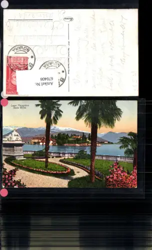 670408,Lago Maggiore Isola Bella Palmen Italy