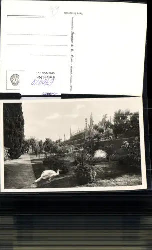 670428,Foto Ak Como Comer See Italy