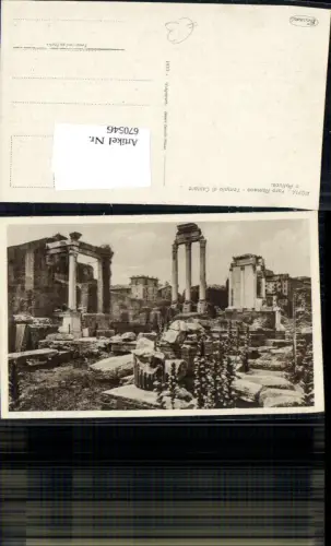 670546,Roma Rom Foro Romano Tempio di Castore e Pulluce Italy