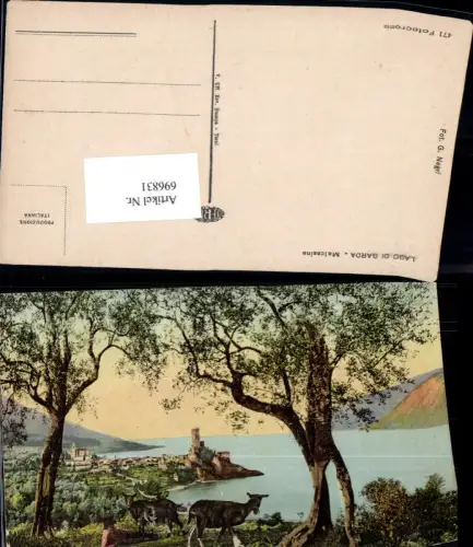 696831 Trentino Lago di Garda Gardasee Malcesine Steinböcke Steinbock