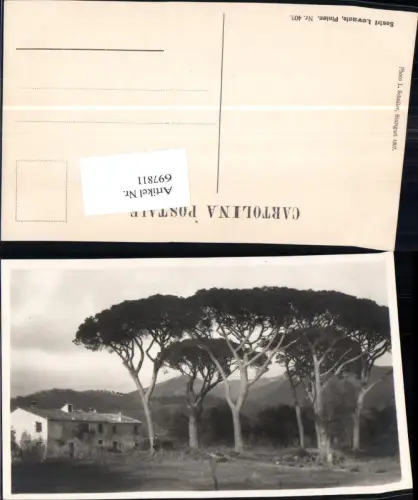 697811 Sestri Levante Pinien Genua Liguria
