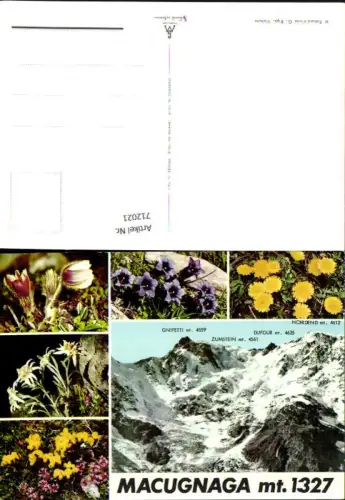 712021 Mehrbild AK Macugnaga Alpenflora Enzian Edelweiß Italy