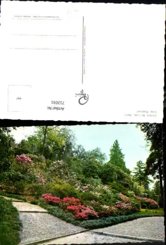 712031 Giardini dell Isola Madre Lago Maggiore Park Garten Italy