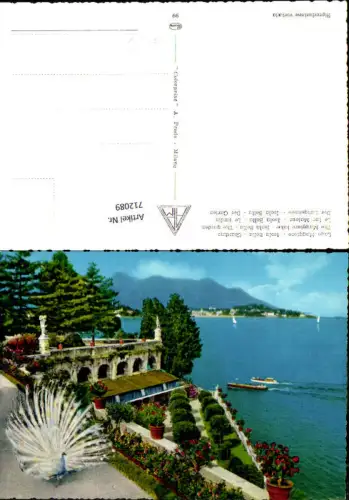 712089 Lago Maggiore Isola Bella Giradino Garten Pfau Italy