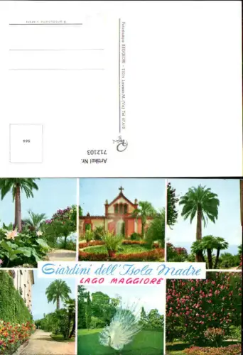 712103 Mehrbild AK Giardini dell Isola Madre Lago Maggiore Palme Pfau Blumen Italy