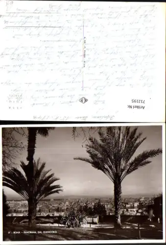 712195 Foto AK Roma Rom Panorama dal Gianicolo Palmen Italy