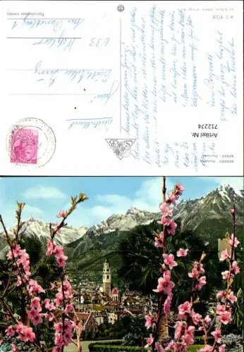 712274 Merano Panorama Meran Blütenzweige im Vordergrund Italy