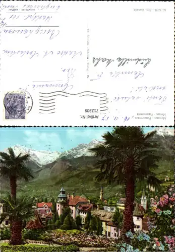 712309 Foto AK Merano Meran Panorama Palme Italy