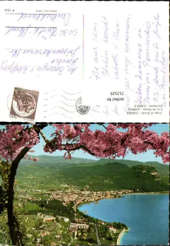 712329 Lago di Garda Garda Gardasee Blütenzweig im Vordergrund Italy