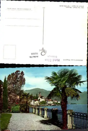 712333 Foto AK Brissago Lago Maggiore Palme Ufer Italy